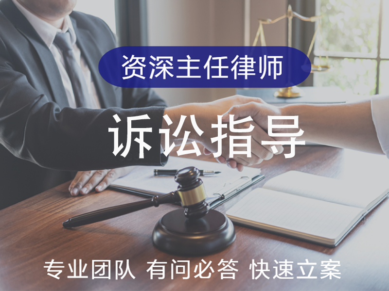 诉讼指导