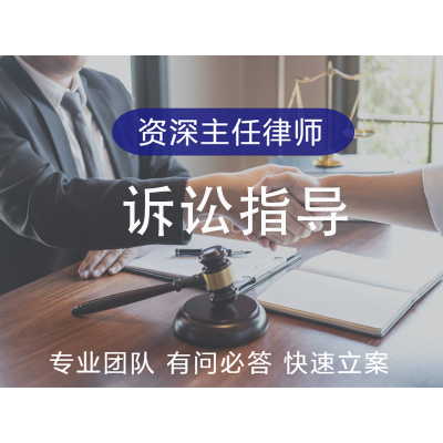 诉讼指导